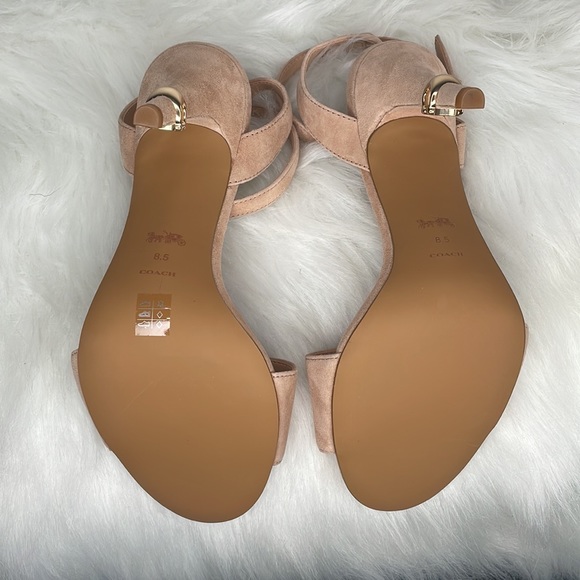 Coach | Suede Regina Sandal - Beachwood - Picture 12 of 12